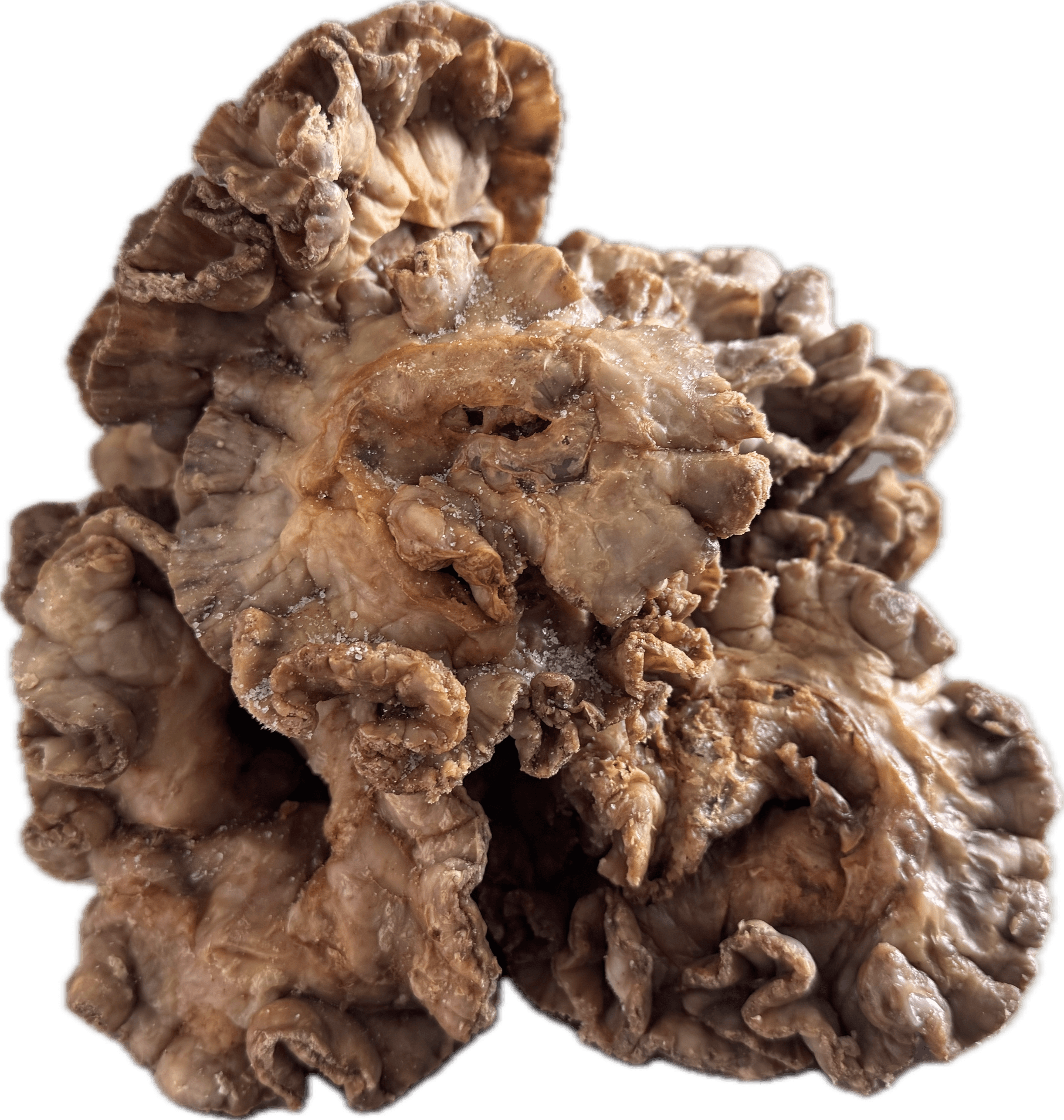 Entresijo o Chicharrón de Flor Artesano