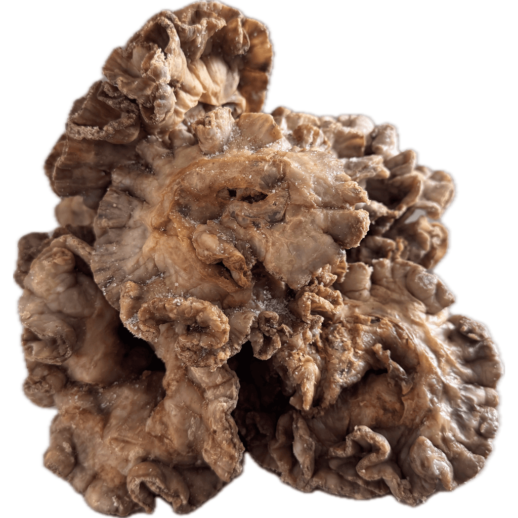 Detalle de entresijo o chicharrón de flor artesano de Segovia sobre fondo blanco